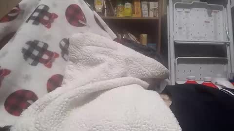 youndme269 online show from 02/03/26, 01:04