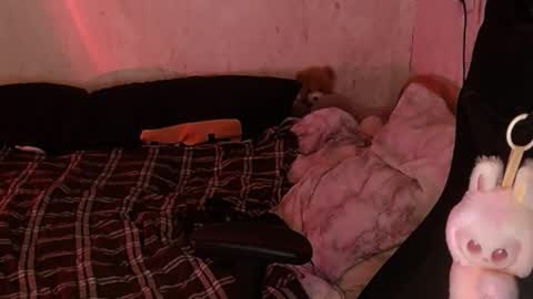 Snapshot of your_8a8y chatting on 11/18/25, 04:33 your_8a8y online show from 11/18/25, 04:33