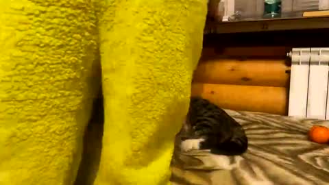 Snapshot of your_cute_friend chatting on 12/31/24, 09:50 Fansly online show from 12/31/24, 09:50