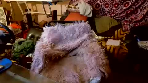 Taylor Tash online show from 10/20/25, 05:08