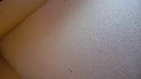 Snapshot of your_king_of_hearts chatting on 10/21/25, 07:14 Sophiestar online show from 10/21/25, 07:14