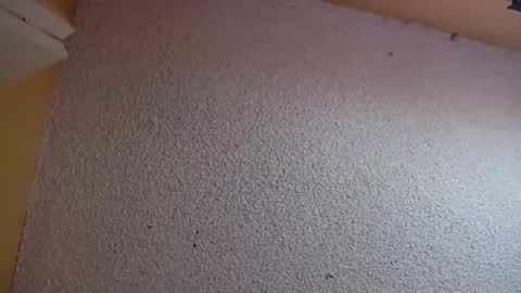 Sophiestar online show from 03/05/26, 07:21