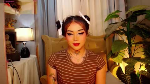 kim online show from 11/15/25, 08:22