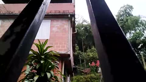 yourgodzeus online show from 03/03/25, 11:33