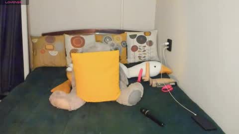 KIM online show from 04/22/26, 03:13