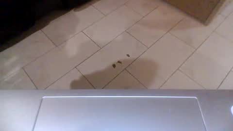 yungnhungg89 online show from 01/18/25, 02:36