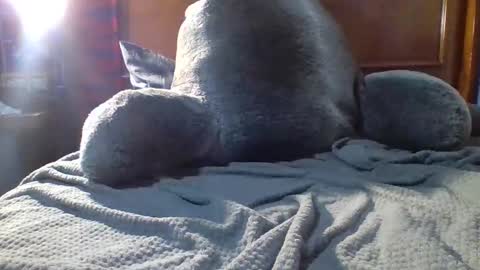 Fire 0range kush online show from 12/19/25, 10:28