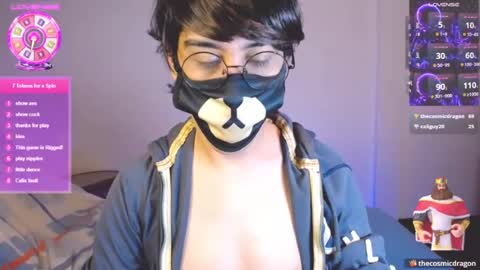 the puppy boy online show from 07/08/26, 03:44