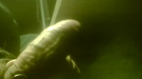 zaboski4 online show from 12/01/25, 08:52