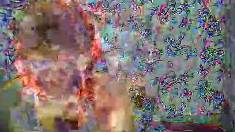 zarinamarlin online show from 04/01/26, 07:53