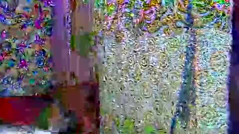 zarinamarlin online show from 04/09/26, 07:03