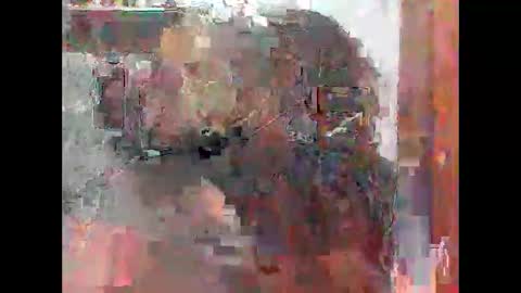 Snapshot of zatiro992 chatting on 02/14/26, 07:49 Zatth online show from 02/14/26, 07:49