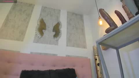 ZHAMIRA  ANDRES online show from 02/11/26, 11:21