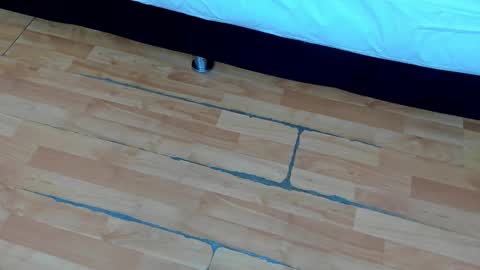 zia online show from 02/21/25, 12:17