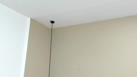 zia online show from 09/15/25, 11:10