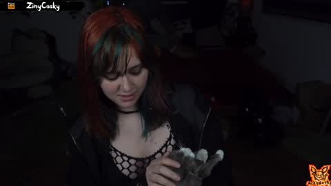 Snapshot of ziny_cosky chatting on 02/01/25, 01:55 Ziny Cosky online show from 02/01/25, 01:55