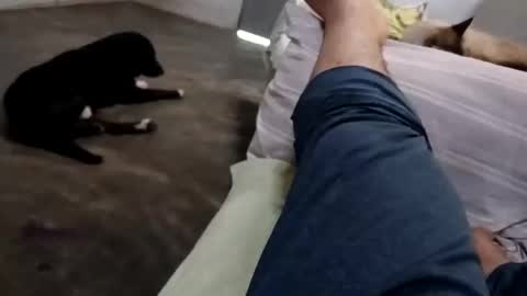 zitojose73 online show from 10/08/25, 06:49