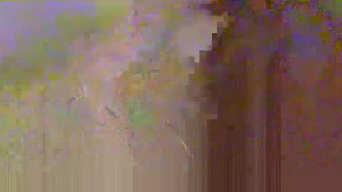 zobrythickock online show from 10/29/25, 05:25