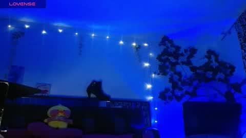 Snapshot of zoemi chatting on 01/16/25, 03:34 zoemi online show from 01/16/25, 03:34