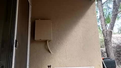 Snapshot of zoeoved92 chatting on 10/08/25, 04:37 zoeoved92 online show from 10/08/25, 04:37