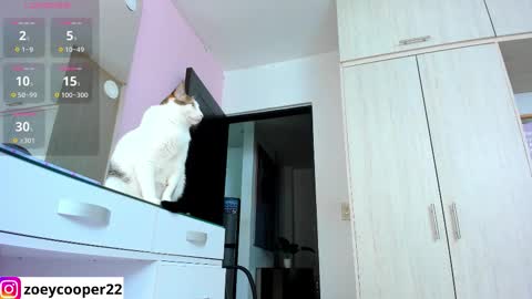 zoey  Independent model online show from 11/15/25, 01:36