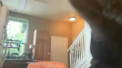 Zoeydanner online show from 02/17/26, 08:48