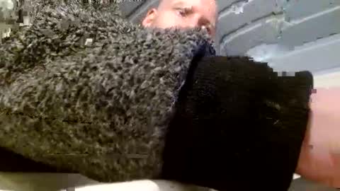 zolexthomas online show from 01/26/25, 04:51