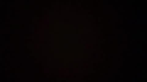 zoozdxb online show from 01/17/26, 07:50