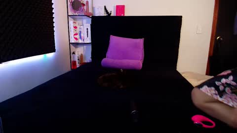 zpzphot online show from 02/14/26, 04:42