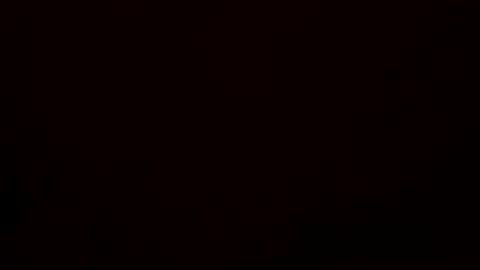 zqporn123 online show from 04/24/26, 08:44