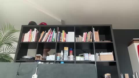 Snapshot of zwickauer1969 chatting on 02/27/25, 08:06 zwickauer1969 online show from 02/27/25, 08:06