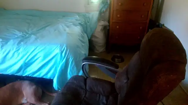 DADDY KANE8--- online show from 04/23/26, 04:20