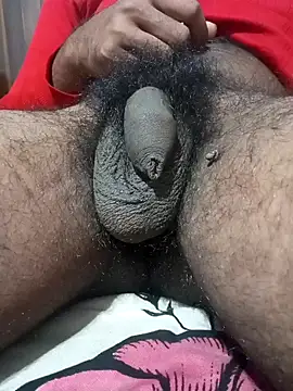 Snapshot of Nishu12356g chatting on 01/13/25, 07:53 Nishu12356g online show from 01/13/25, 07:53