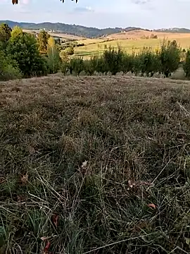 Snapshot of Nishu12356g chatting on 09/08/25, 04:06 Nishu12356g online show from 09/08/25, 04:06