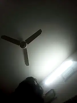 Rupok dulavai online show from 12/02/24, 07:27