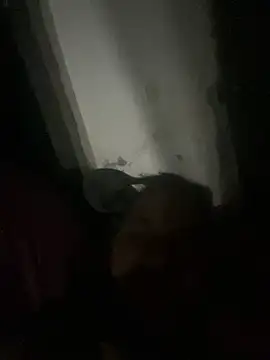 Snapshot of punhetaba chatting on 02/24/26, 03:48 punhetaba online show from 02/24/26, 03:48