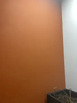 YesTheSexiest online show from 11/11/25, 09:20