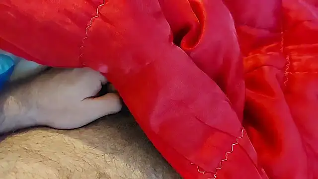 Ettarak online show from 02/08/26, 12:14