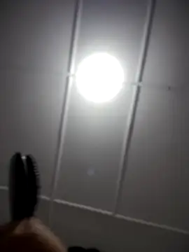 Lia flowers online show from 11/02/25, 12:35