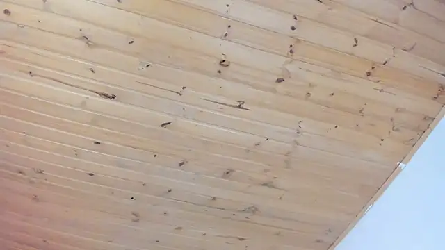 cristal  hot 1 online show from 02/01/25, 04:03