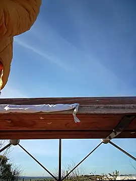 bellapaty online show from 03/30/26, 08:04