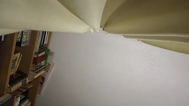 curiosillo83 online show from 03/23/26, 05:06