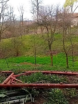 Medelin92 online show from 04/03/26, 05:49