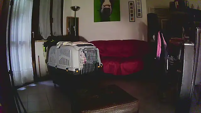 Sabrina-Palermo online show from 01/06/26, 12:31