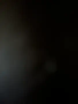 Yurt000 online show from 02/03/25, 07:29