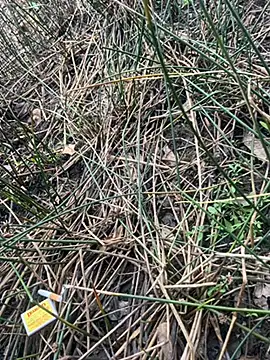 Yurt000 online show from 09/16/25, 04:57