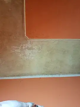 ducicsajsziii online show from 04/11/26, 08:29