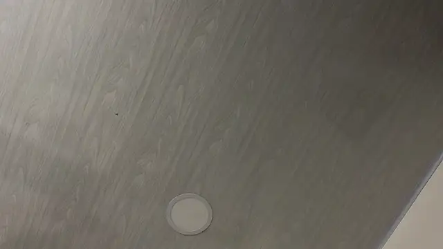 dolly zoe online show from 02/24/26, 05:16