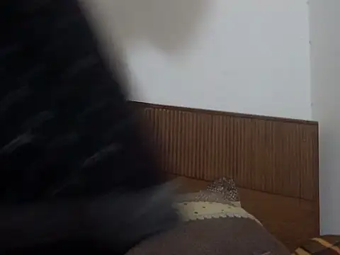 shekira99 online show from 03/01/26, 01:57