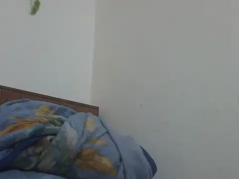 shekira99 online show from 04/17/26, 12:57